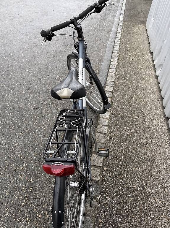 Velos: Damenvelo Cresta Vento. Grau/silber – Gebraucht aus Reiden von Halti 4