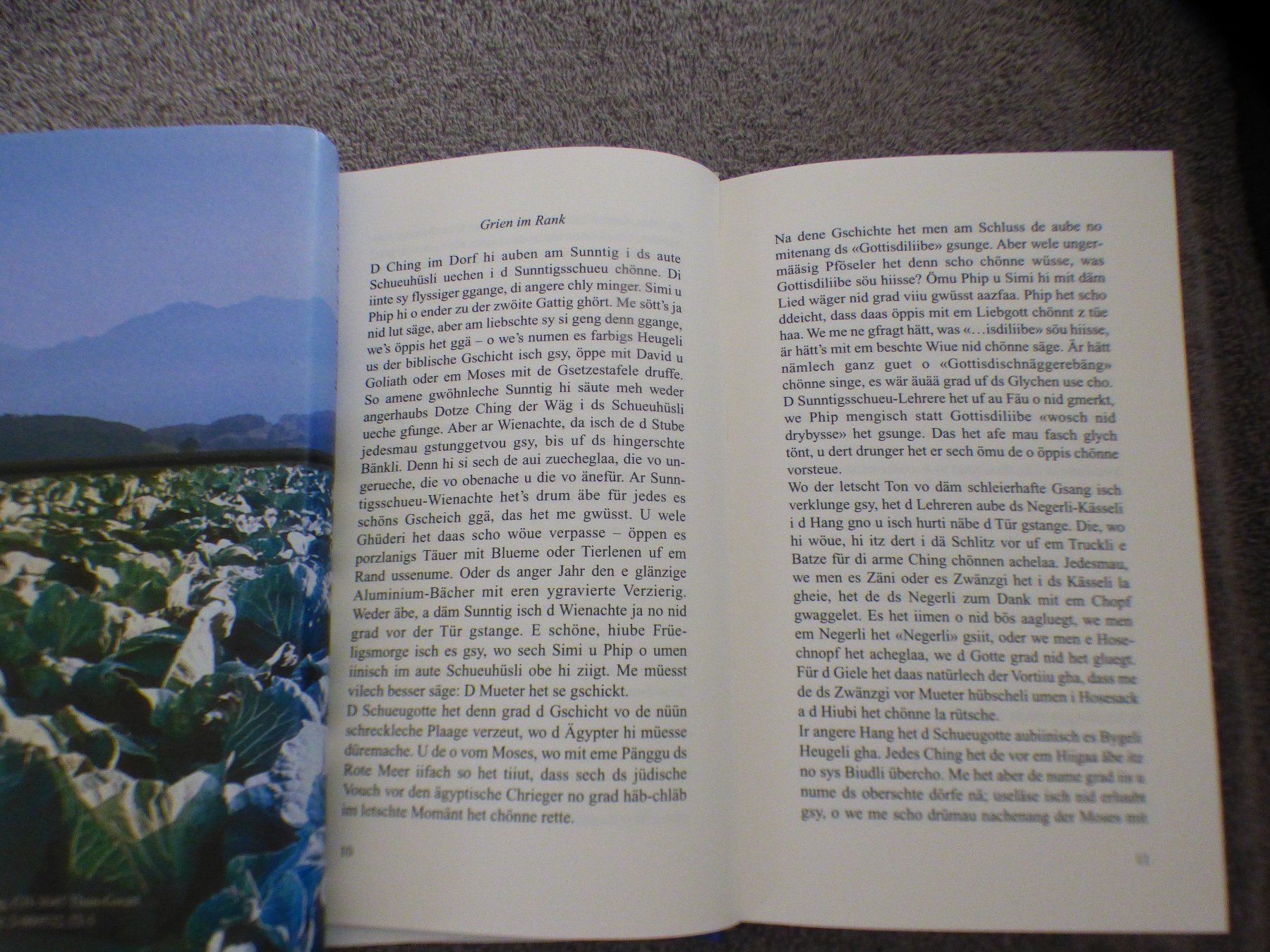 Bücher: 2 Mundartbücher – Gebraucht aus Münchenbuchsee von enzian59 4
