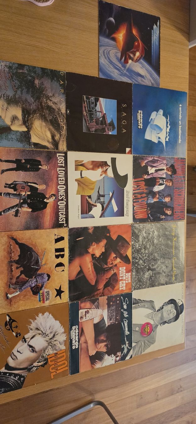 Schallplatten: Diverse Schallplatten LP's  – Gebraucht aus Meggen von GoncallvesTiago21 1