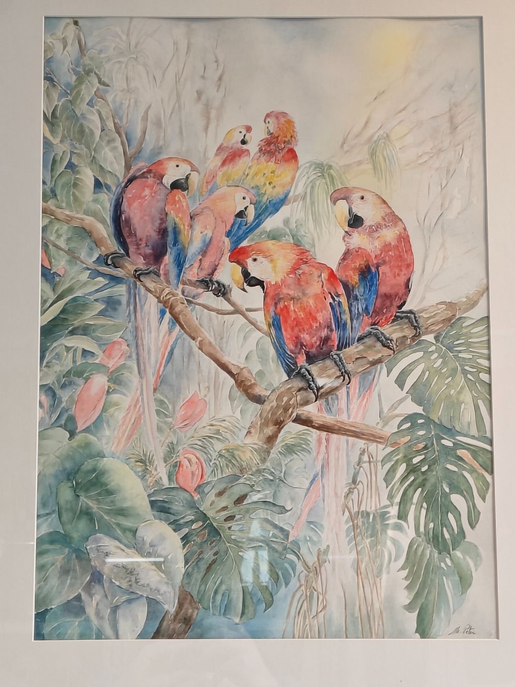 Dipinti: Original Aquarell Papageien - Marlene Peter – Usato da Birr venduto da DisDas 1