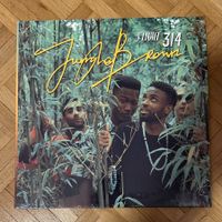 Jungle Brown - Flight 314 LP