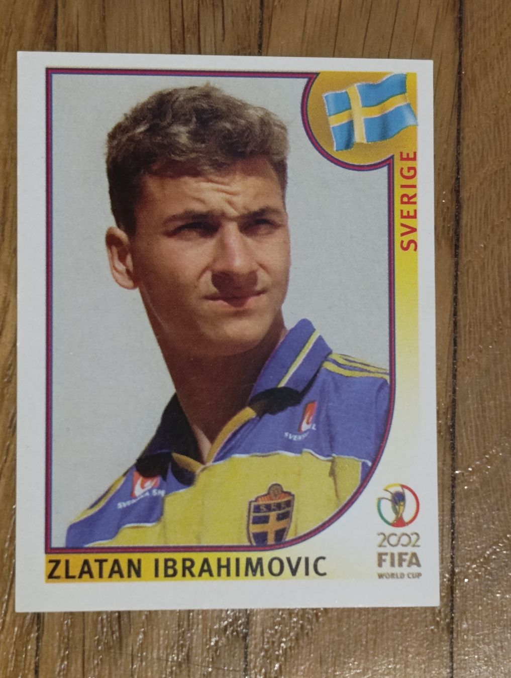 Panini Carte collezionabili: Panini WM 2002 #456 Ibrahimovic – Usato da Uitikon Waldegg venduto da MNC8047