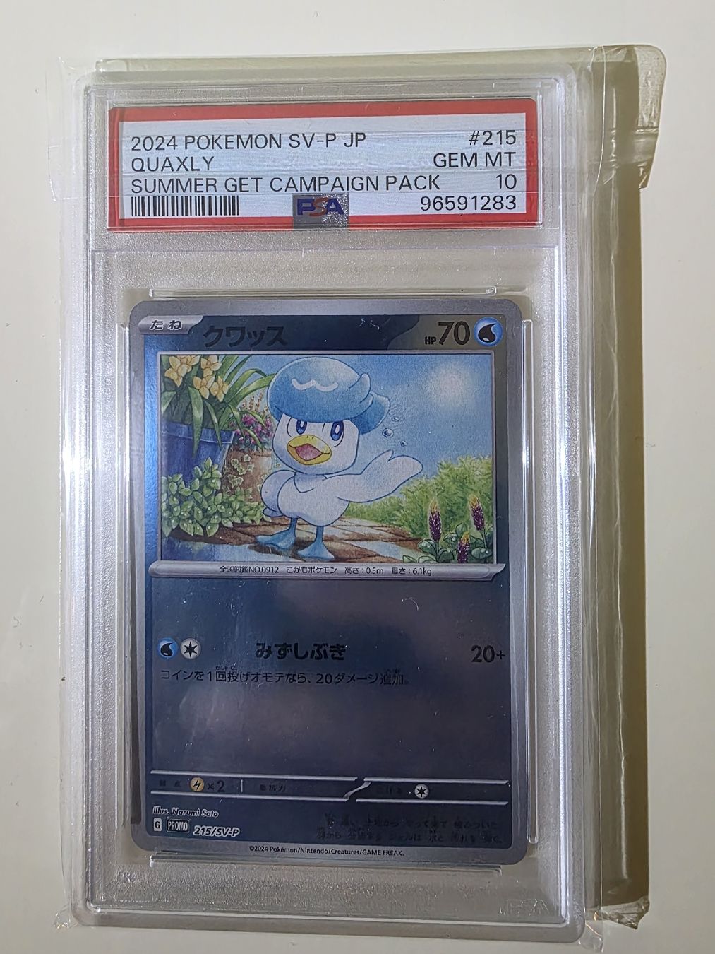 Pokémon Carte collezionabili: Pokemon PSA 10 Sequential Set 2024 Summer Get Campaign JP – Nuovo (secondo la descrizione) da Dintikon venduto da Takeit79 5