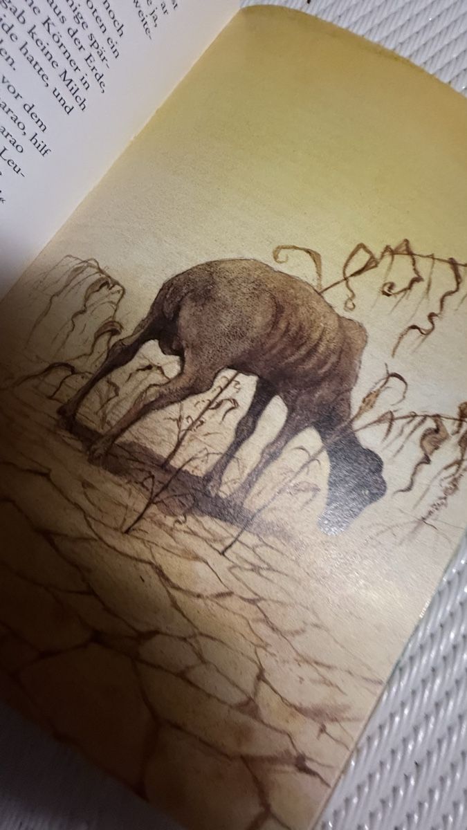 Libri: Kinderbibel - Was der Regenbogen verspricht,Top Zustand – Usato da Zürich venduto da Krikri21 8