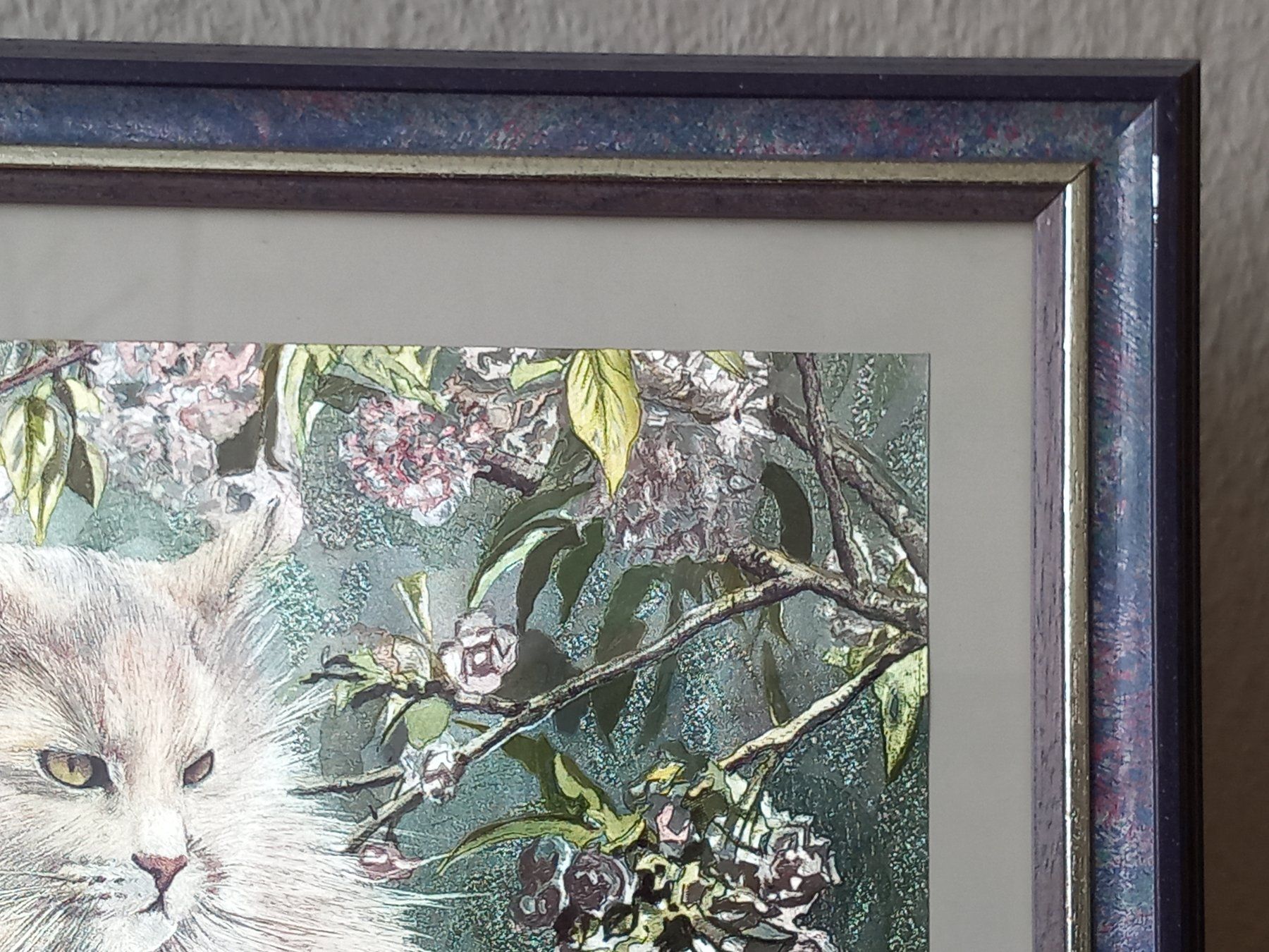 Foto & Immagini: gerahmtes Katzenbild in Perlmutt Optik – Usato da Lindau venduto da san_kg2j 2