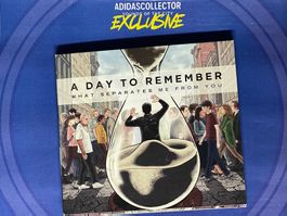 A Day To Remember – What Separates Me From You - Metalcore