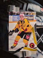 Alain Graf SC Bern 2025/26 Sportzoo 2