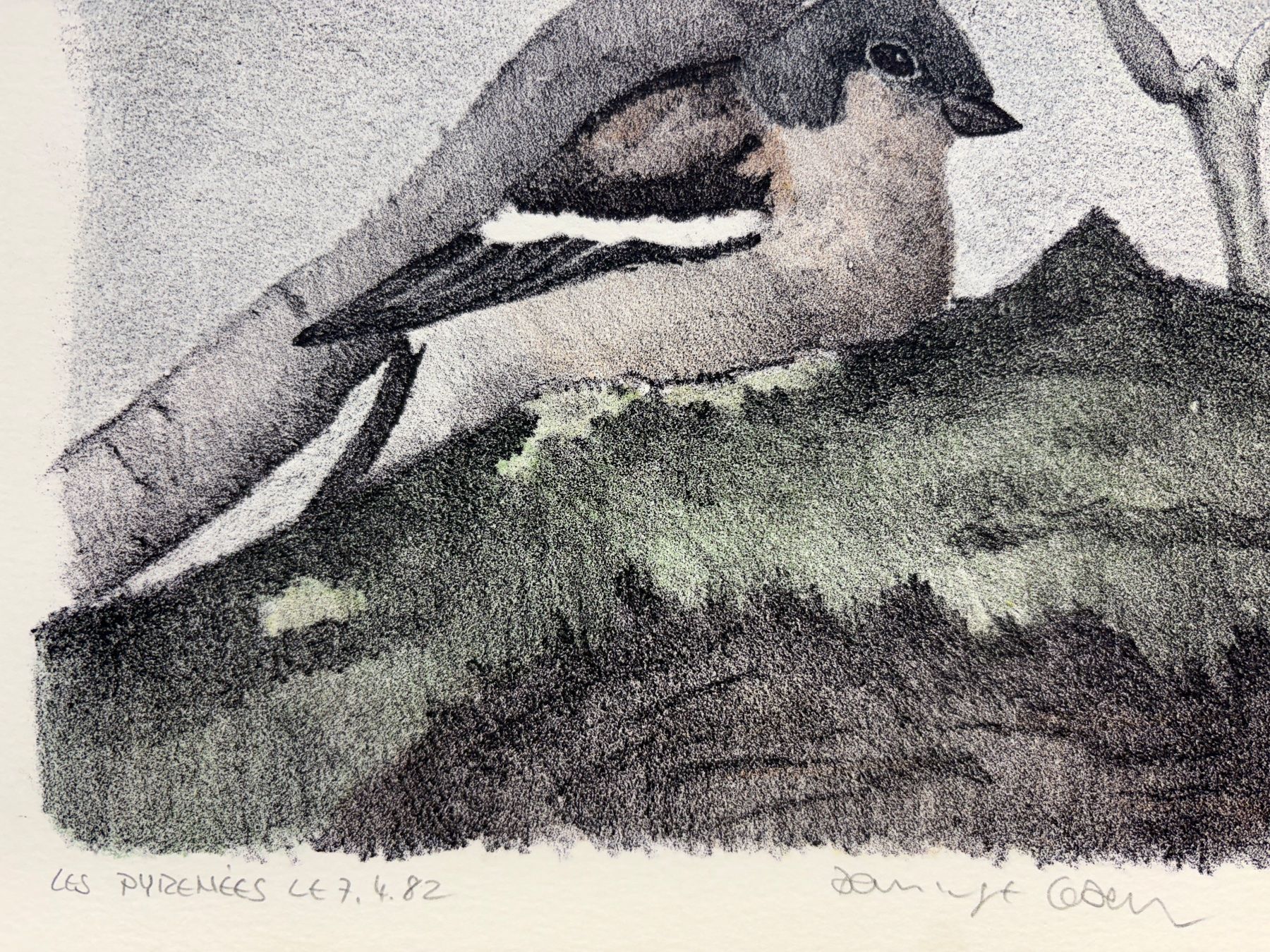 Grafica & Litografie: DOMINIQUE COSANDEY LITHOGRAPHIE ORIGINALE "OISEAU" – Usato da Genève venduto da aic_p8ld 4