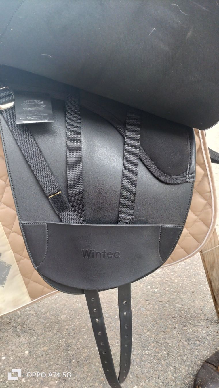 Sattel & Sattelzubehör: Wintec Stocksattel – Gebraucht aus Wolhusen von  8