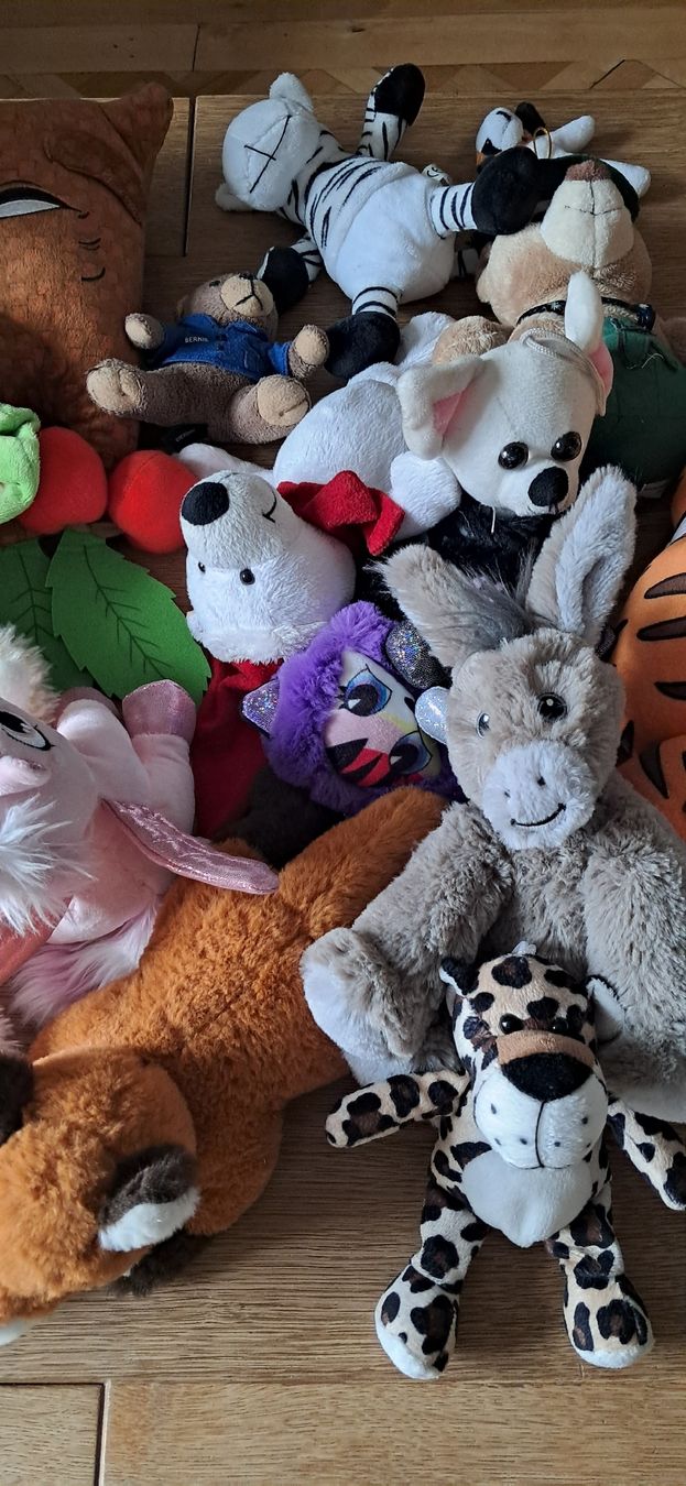 Giocattoli: Plüschtiere – Usato da Nidau venduto da Darkpooh 3