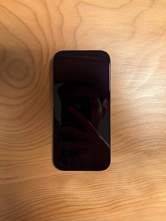 Apple Telefoni cellulari / Smartphones: iphone 16 pro 1Tb – Usato da Dino venduto da davide__V 1