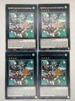 Yu-Gi-Oh! Majespaßvogel Paladin, der aufsteigende Drachobezw
