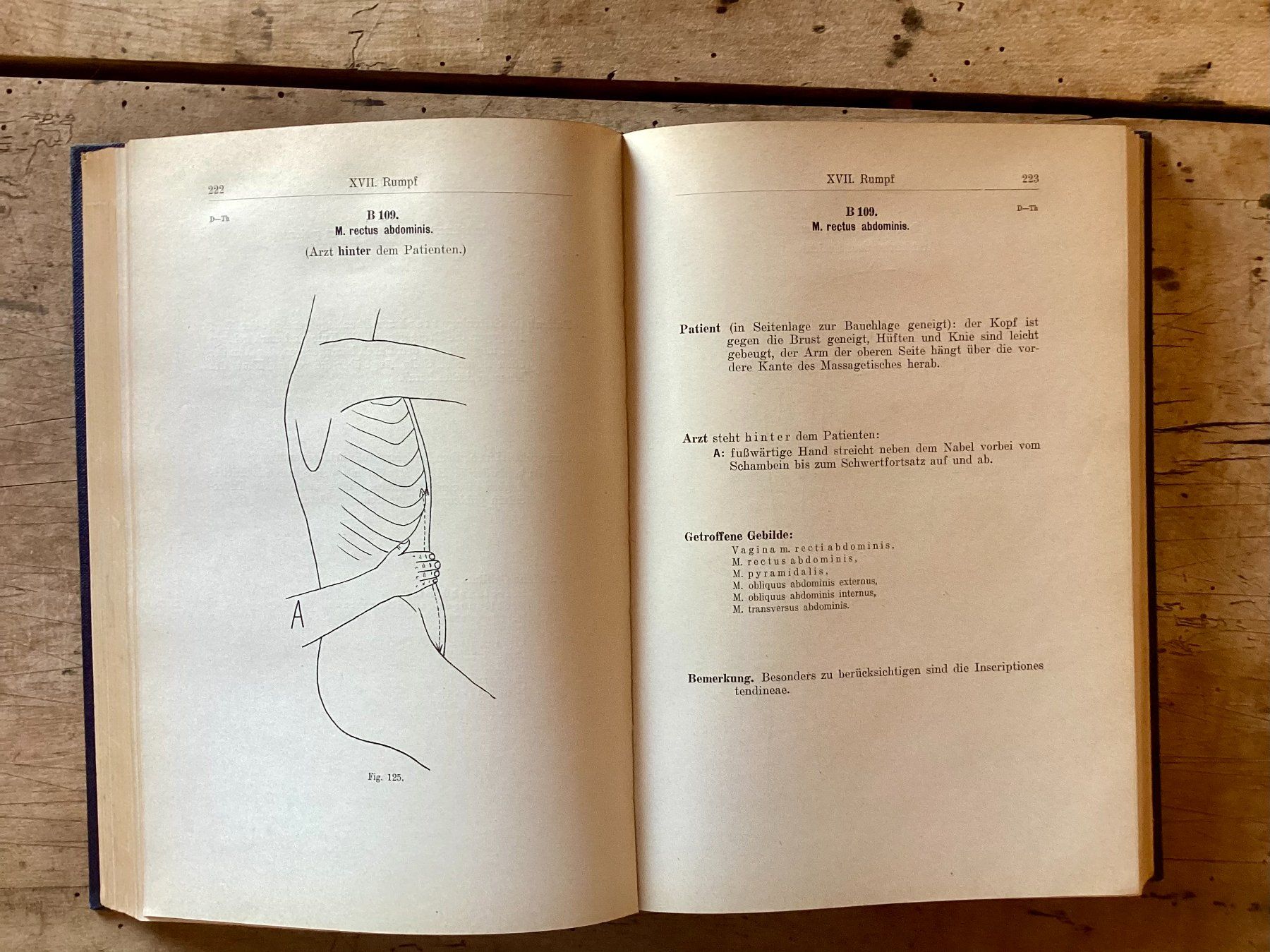 Libri: Dr. A. Müller: Lehrbuch der Massage – Usato da Ronco sopra Ascona venduto da R66sA22 5
