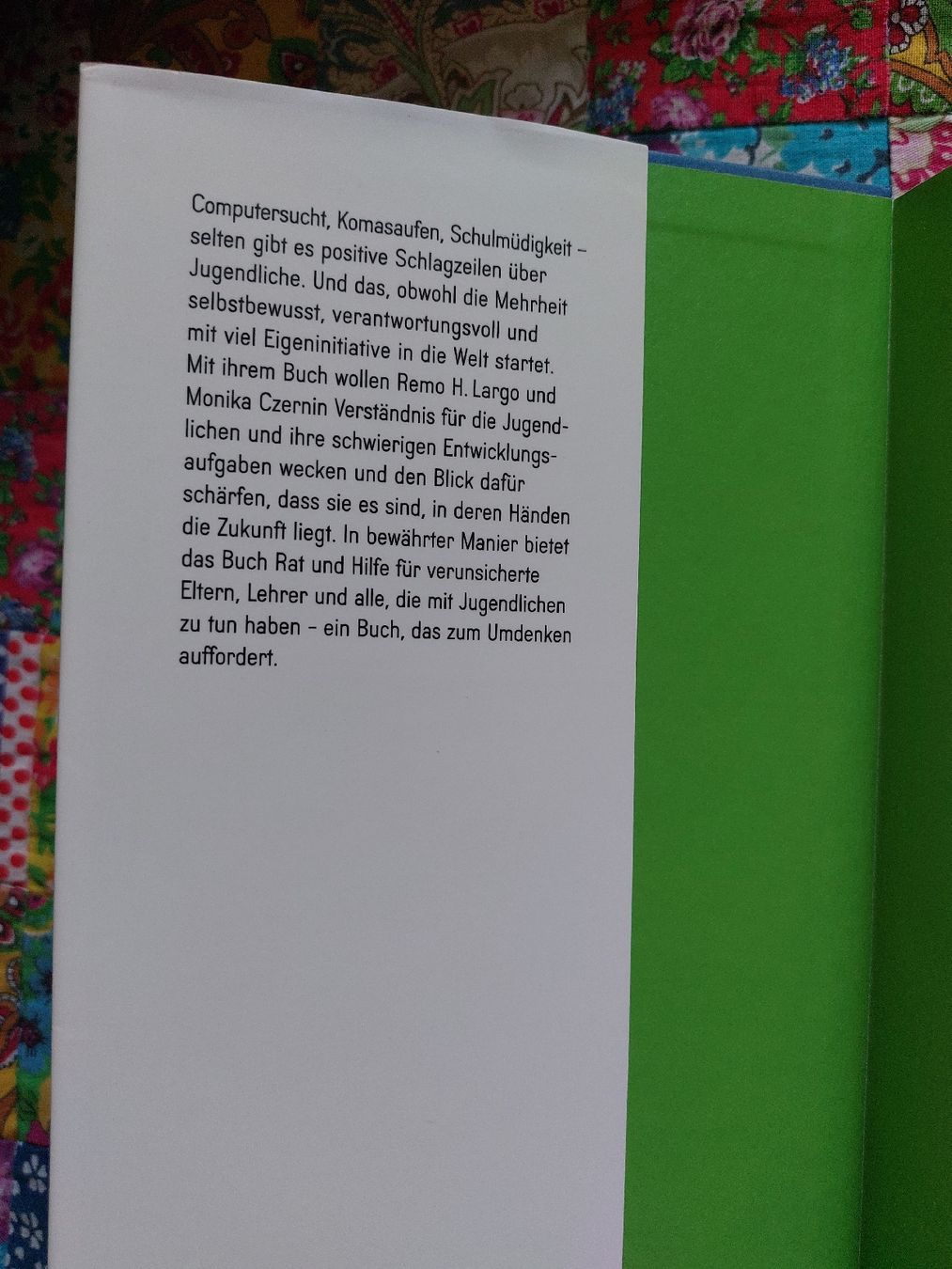 Bücher: Largo, Czernin: Kinder durch die Pubertät begleiten – Gebraucht aus Romanshorn von SwissEnn 2