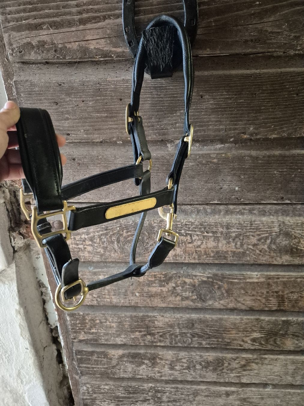 Briglie & Cavezze: Leder Halfter Cob – Usato da Meggen venduto da Orrinka20 3
