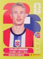 Panini Sticker FIFA WM 2109 Torbjorn Heggem NOR8