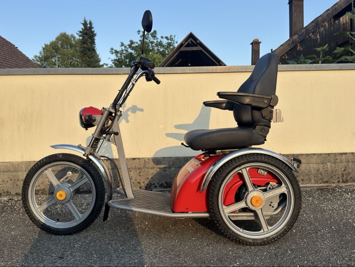 Kyburz Elektromobile: Kyburz Classic Elektrofahrzeug – Gebraucht aus Rickenbach SO von YvonneA02 1