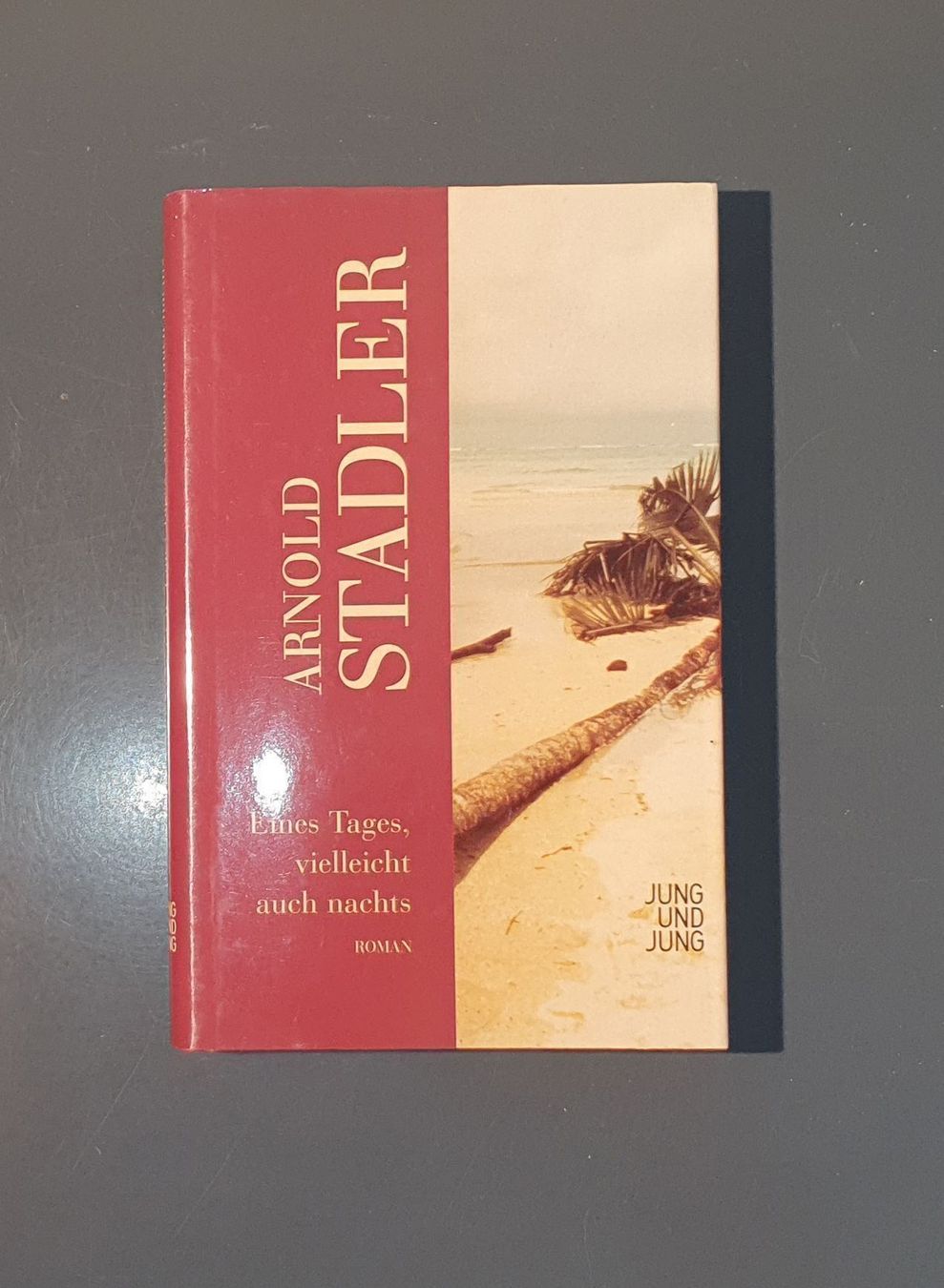 Libri: Eines Tages, vielleicht auch nachts – Usato da Dübendorf venduto da Povo 1