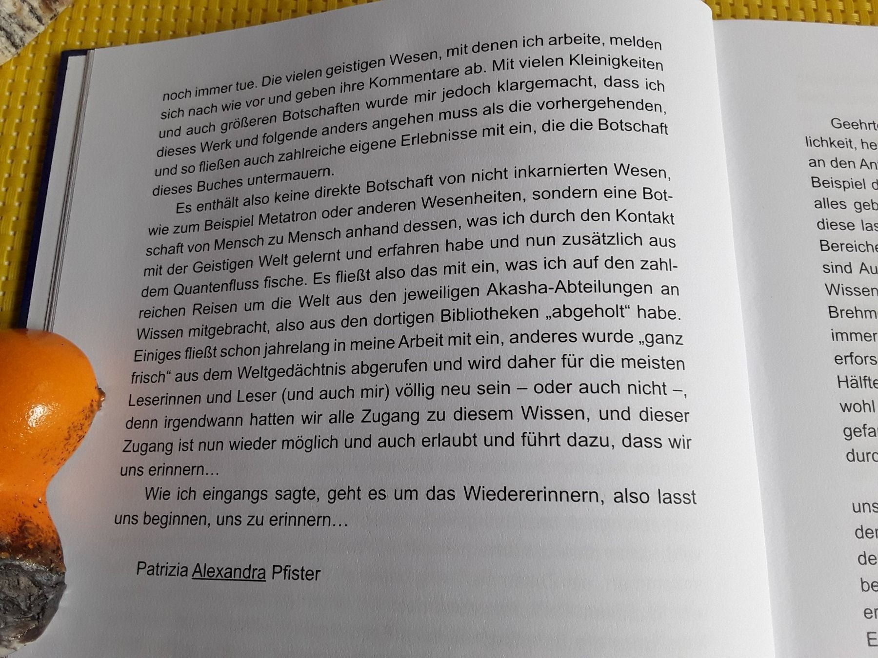 Libri: Die Goldenen Schrifttafeln – Nuovo (secondo la descrizione) da Rebstein venduto da Buchsi03 9