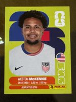 Panini WM 2026 - USA 10