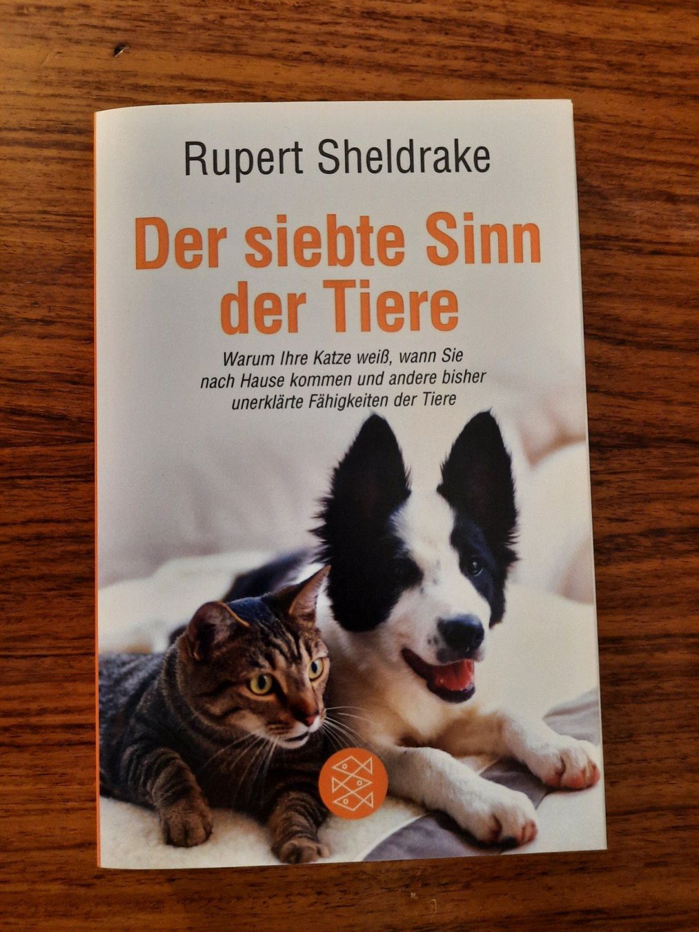 Bücher: Der siebte Sinn der Tiere von Rupert Sheldrake – Neu (gemäss Beschreibung) aus Wettingen von Beo