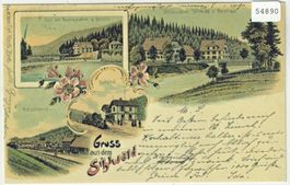 Gruss aus dem Sihlwald - Repro