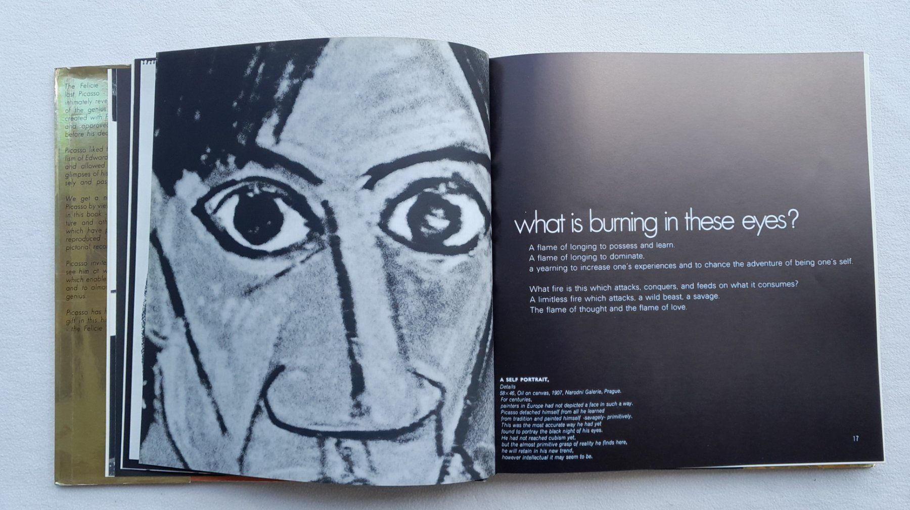 Libri: Picasso 'Felicie' – Usato da Samstagern venduto da Karibik64 6