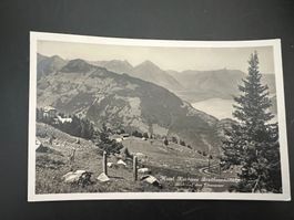 Ansichtsk. 1929 Breitlauenenalp Hotel Kurhaus  (V556)