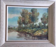 Annichini - Alte Aare près de Büren - 65/54cm