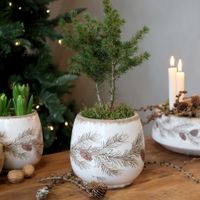 Chic Antique Übertopf mit Tannenmotiv, Höhe 16,5 cm