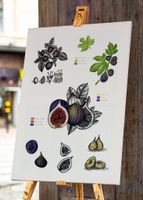 A3 Frucht Druck Art Print von Handgemalte Botanische Feige