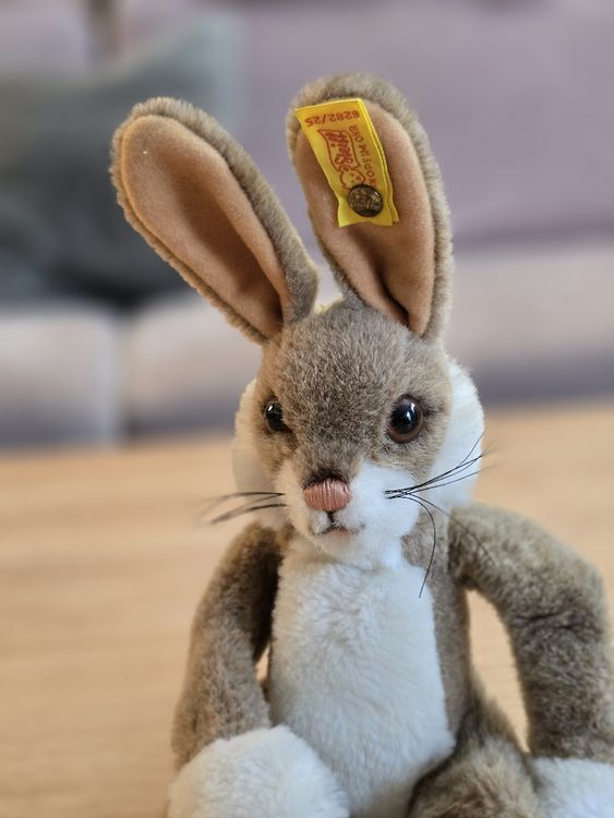 Steiff Hase Plüschtier Lulac unbespielt (Gebraucht) in Flamatt für CHF ...