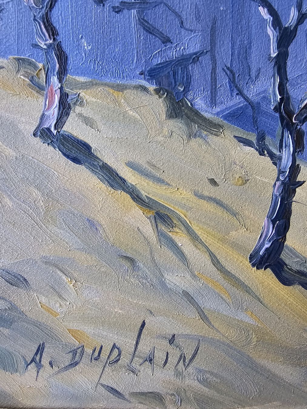Gemälde: ALBERT DUPLAIN SUPERBE TABLEAU DENT DU MIDI HUILE SUR TOILE – Gebraucht aus etoy von rerram2007 2