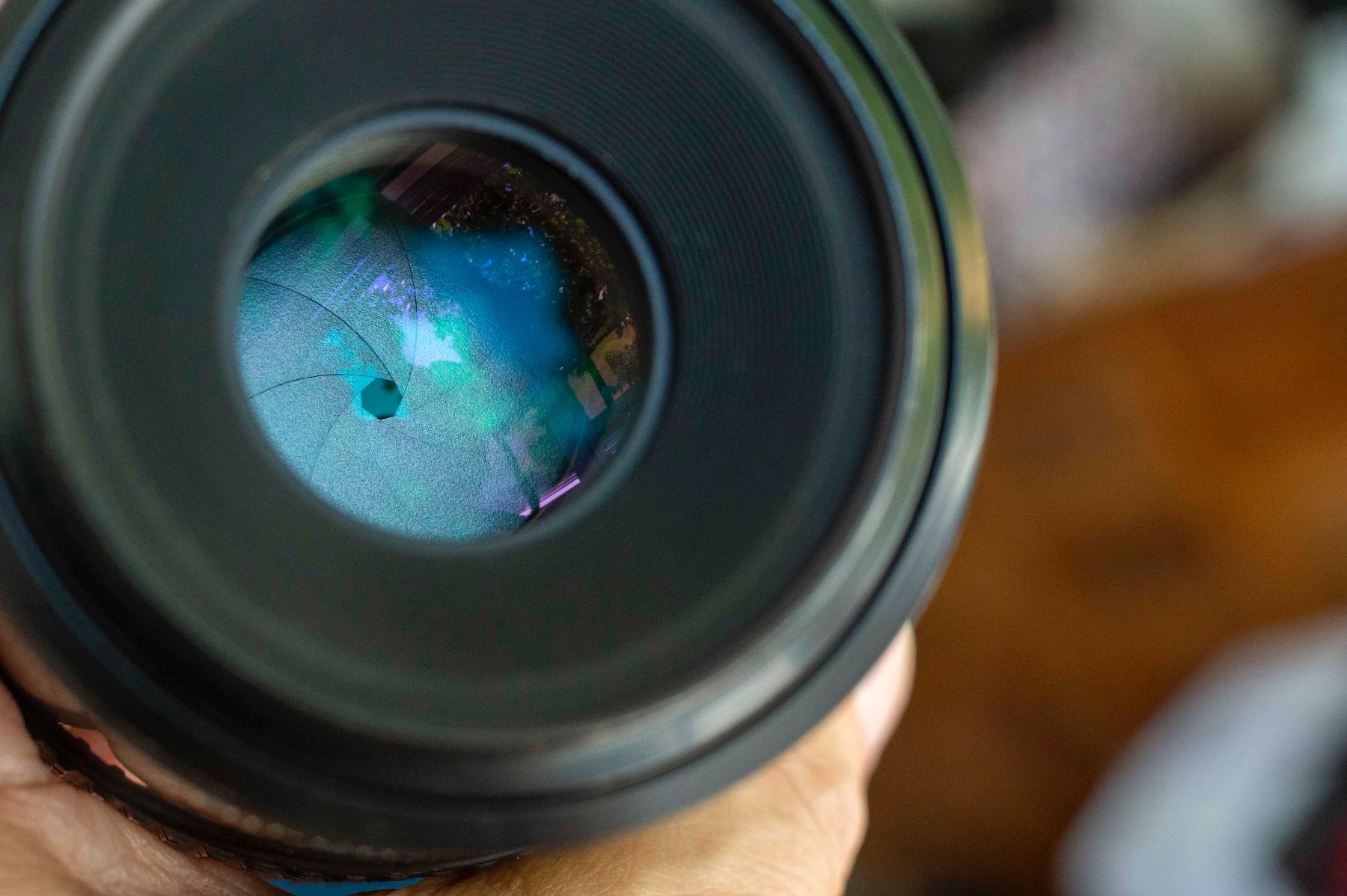 Nikkor Objektive: Nikon Micro-Nikkor 105mm f4.0 AIS – Gebraucht aus Schwerzenbach von floridan 6