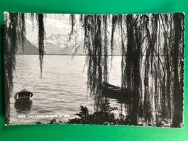 Lac Leman et Dents du Midi
