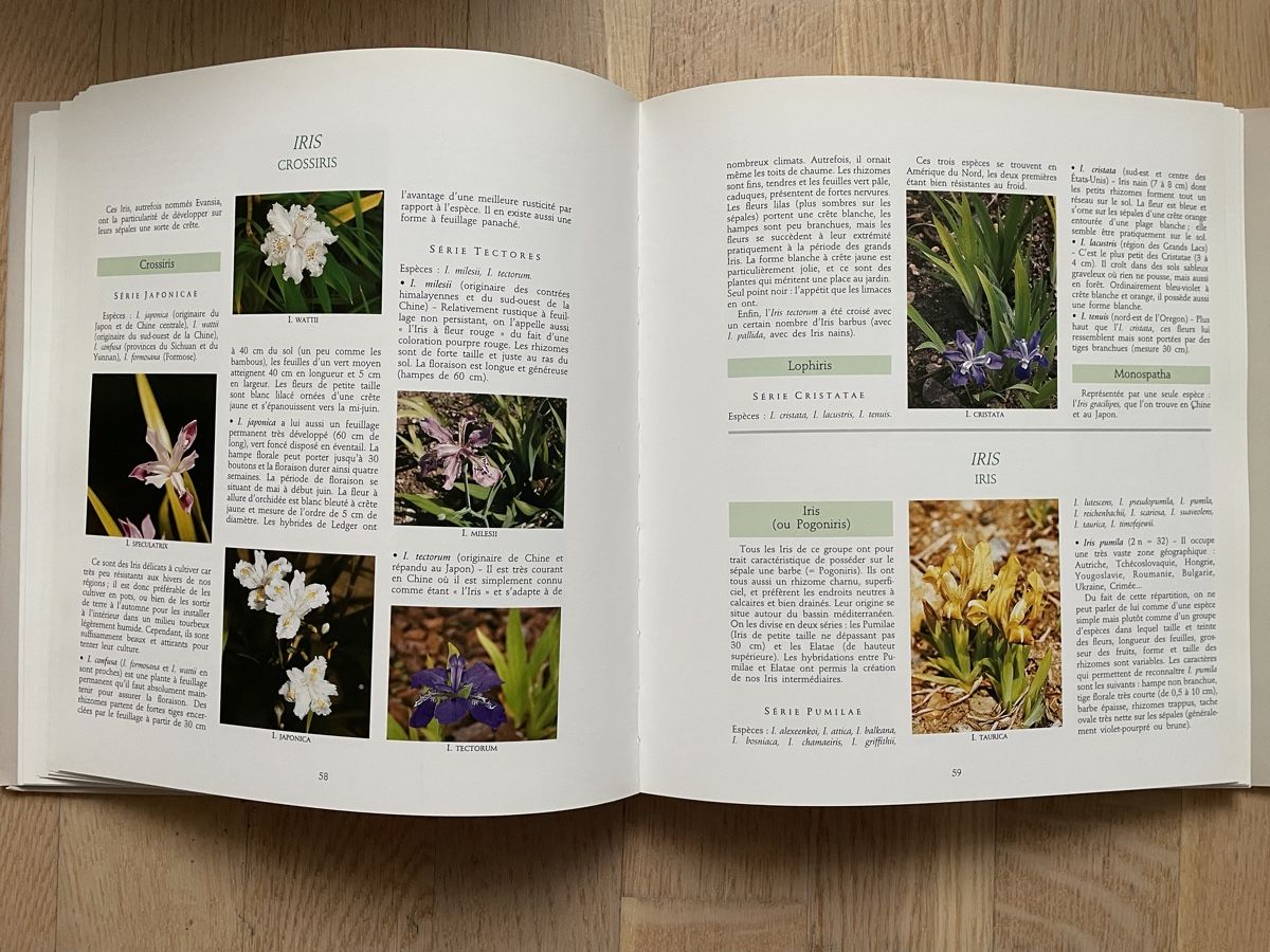 Libri: Bildband Blumen: L‘iris - une fleur royale – Usato da Brütten venduto da Snowkiwi 3