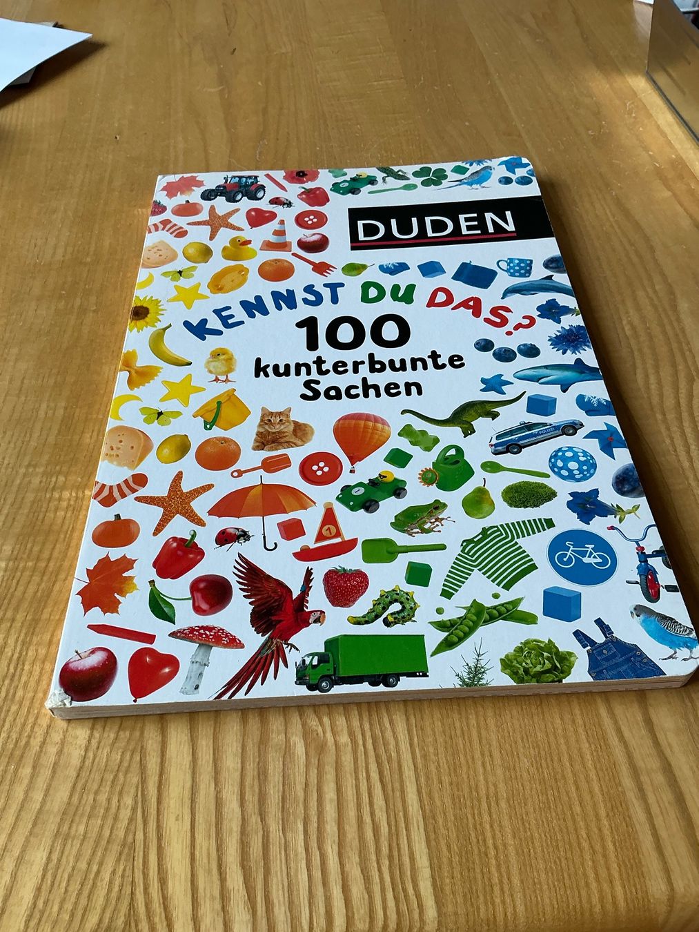 Libri: Duden - Kennst du das? 100 Sachen – Usato da Oberdorf SO venduto da walterrueefli