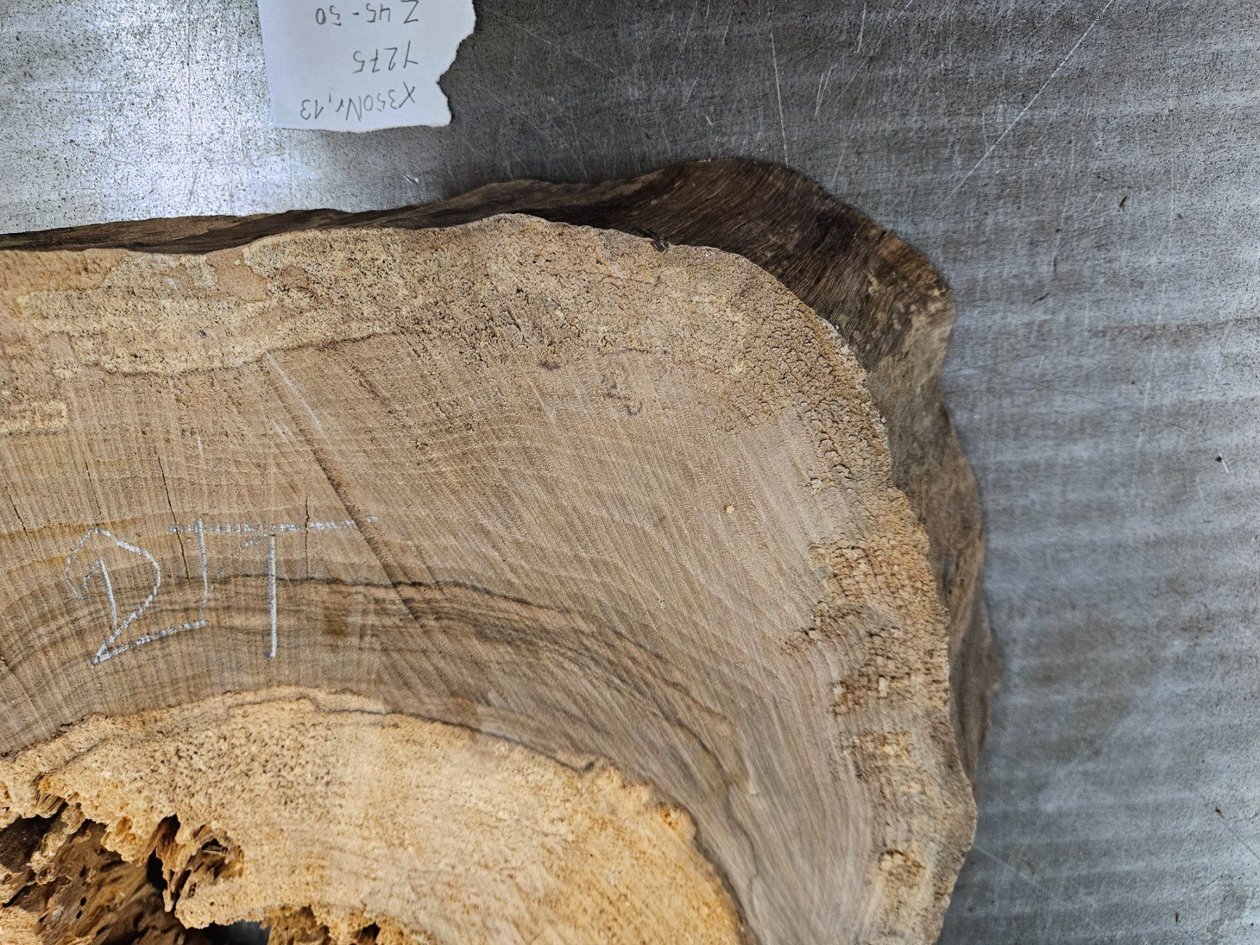 Articoli in legno: Nussbaum Holz Baumscheibe – Nuovo (secondo la descrizione) da Schangnau venduto da egli6.2 8