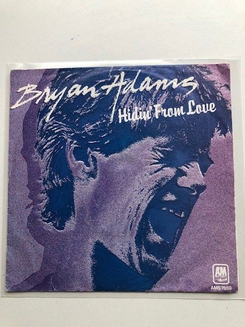 Dischi in vinile: Bryan Adams – Usato da Aarwangen venduto da Jukebox3