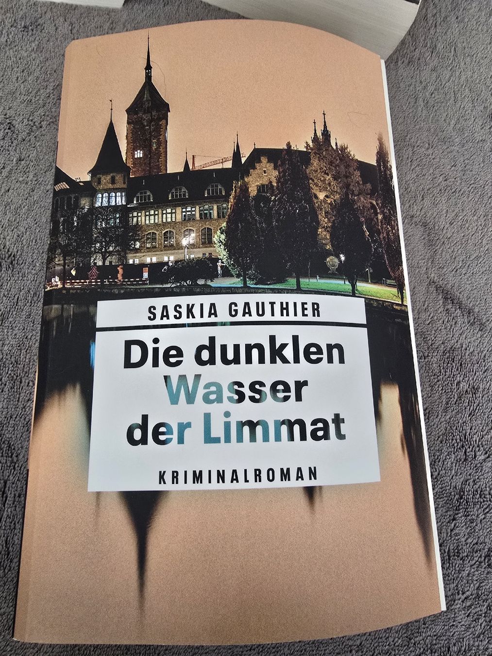 Libri: Die dunklen Wasser der Limmat Taschenbuch – Usato da Muttenz venduto da kar_rp9p