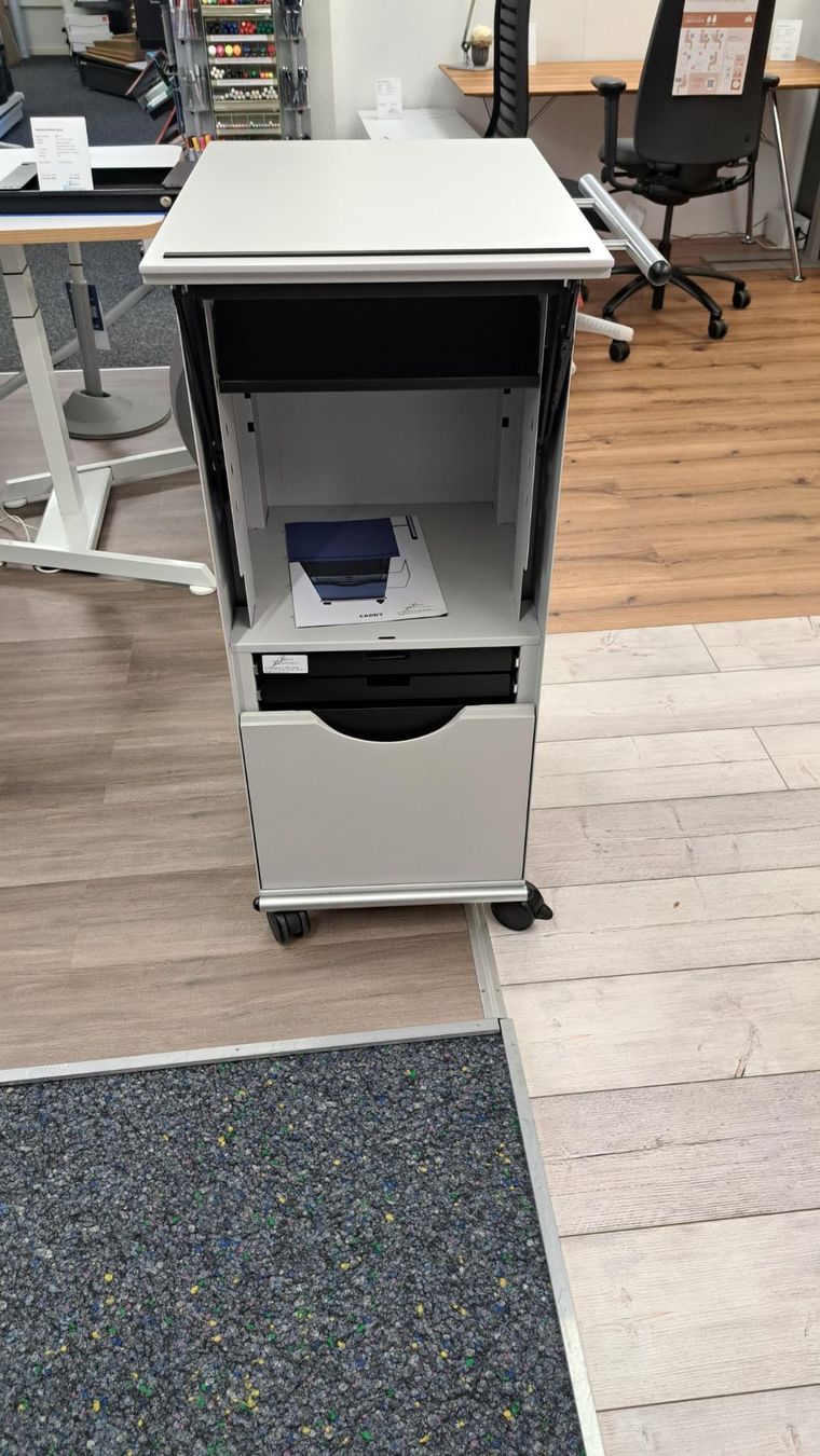 Valigie & Borse: Caddy / Trolley / Stehmöbel Neu ab Showroom – Nuovo (secondo la descrizione) da Zofingen venduto da BBAG4800 3