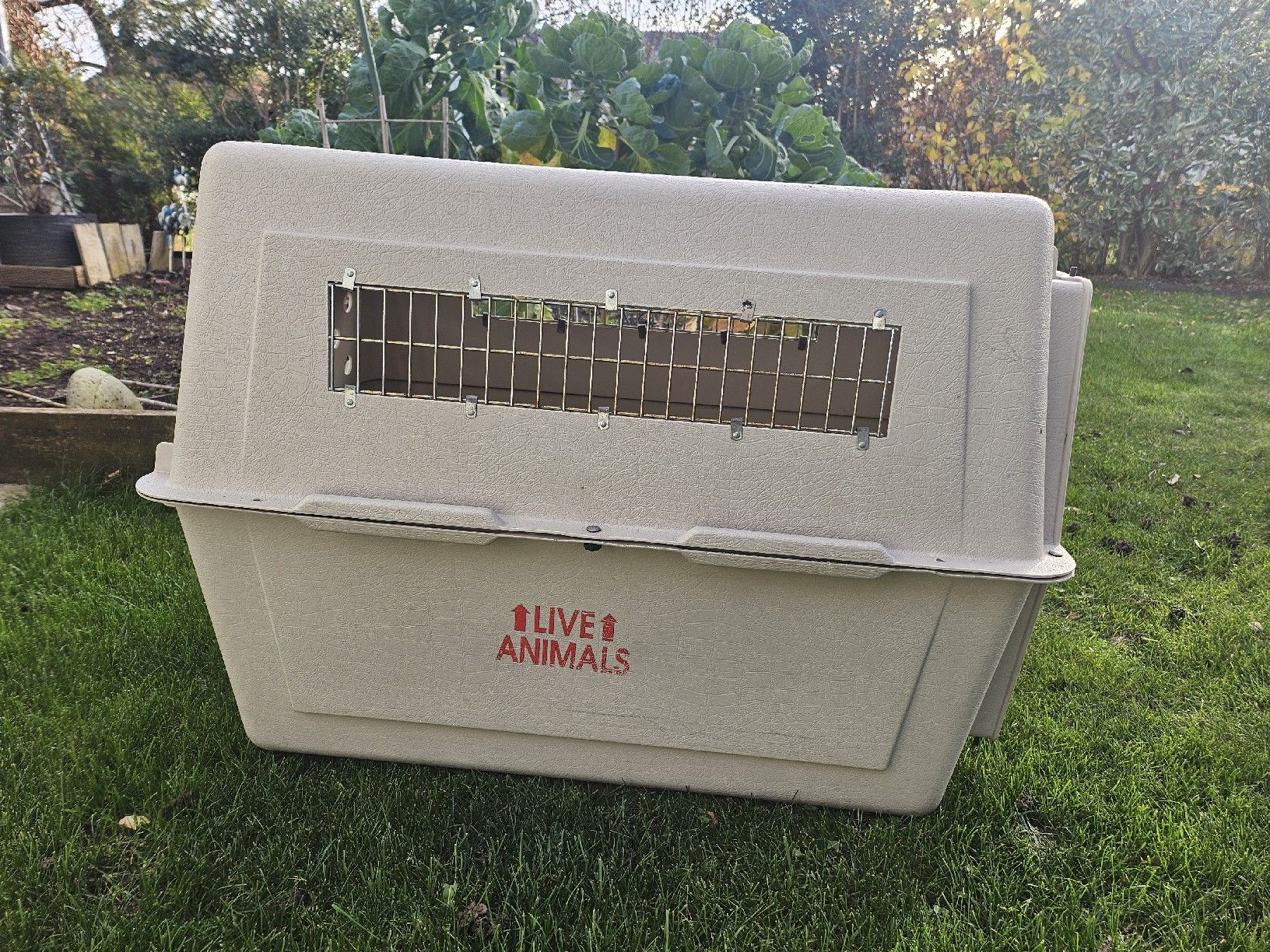 Gabbie, trasporto & Sicurezza: caisse transport chien – Usato da Croy venduto da sylvie1350 3