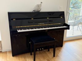 À vendre  Piano droit Yamaha b1 SC2 PE Silent