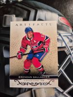 NHL Brendan Gallagher Montreal Canadiens