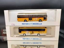 Postbusse zwei Stück ! 1:87 Rietze Automodelle