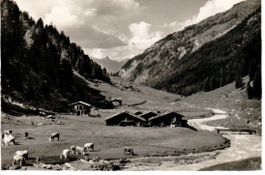 im Turtmanntal bei Gruben 1953