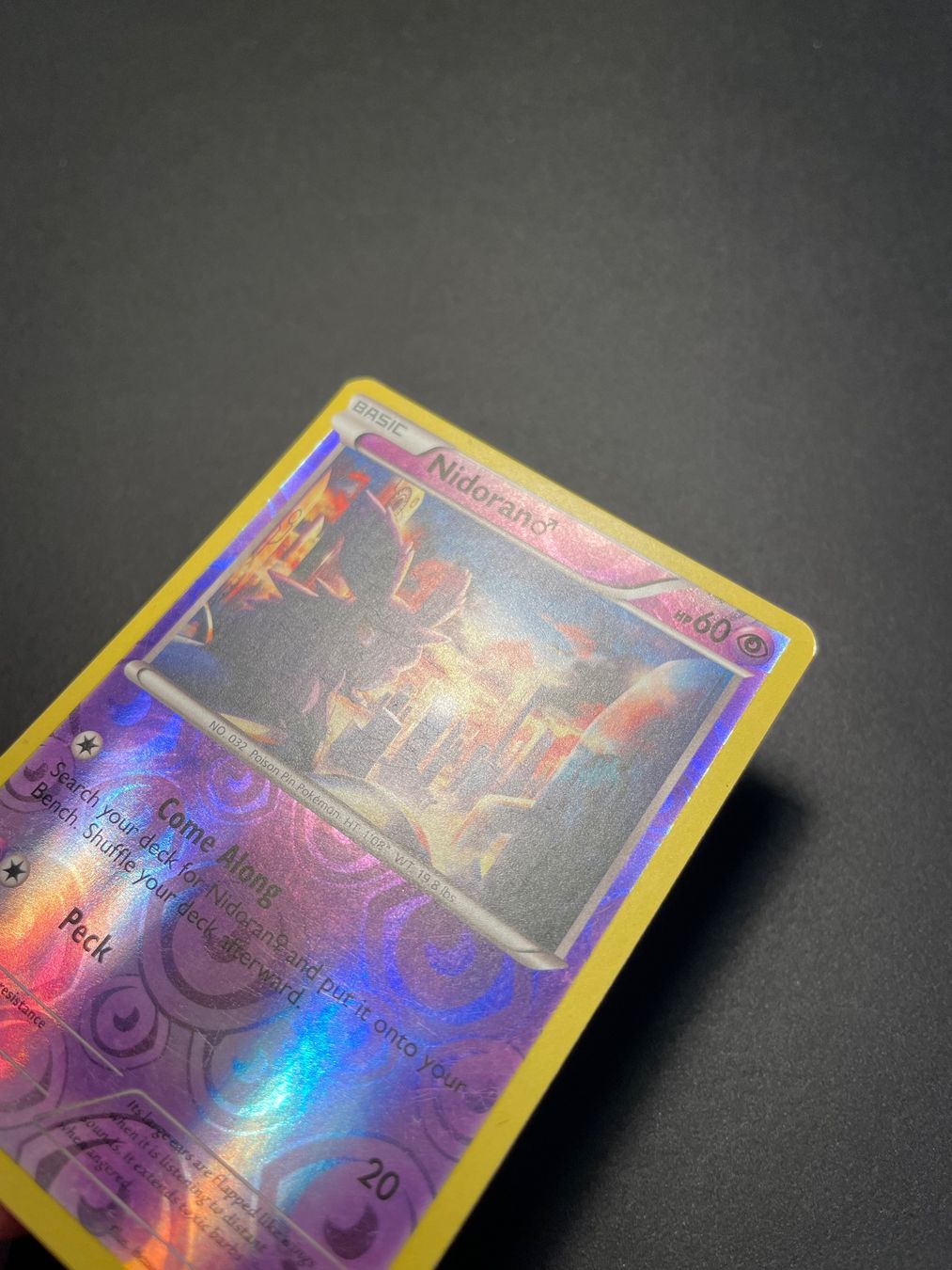 Pokémon Sammelbilder & Trading cards: Nidorano 43/114 Steam Siege Reverse Holo – Gebraucht aus Zürich von pokemon_cards 1
