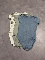 3er Pack Bodies 6M