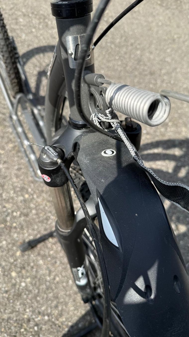 Scooters: KOSTKA MUSHING PRO SCOOTER – Gebraucht aus Schlatt TG von GORE 6