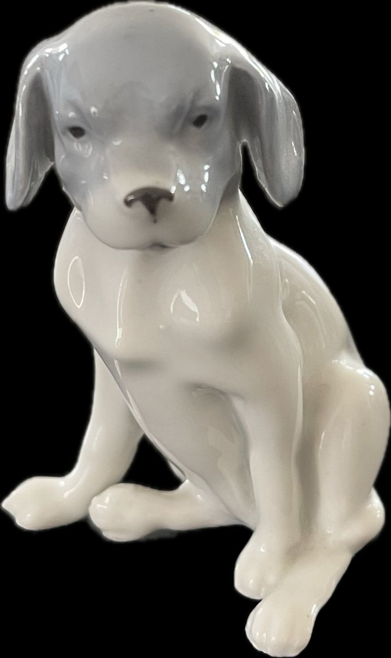 Statuette: Porzellan Welpe – Nuovo (secondo la descrizione) da Arisdorf venduto da flexie